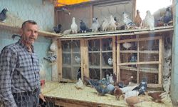 Kahramanmaraş'ta 9 Yaşından Bu Yana Kuş Besliyor