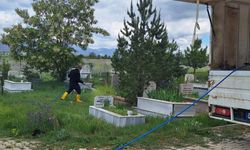 Afşin’de Mezarlıklarda Bakım ve Temizlik Çalışmaları Yapılıyor