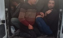 Hatay'da 14 düzensiz göçmen yakalandı