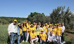 Uluslararası misafirler Anadolu arı ürünlerinin nasıl üretildiğini yerinde keşfetti