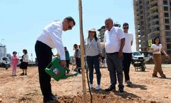 Yenişehir Belediyesi ağaçlandırma çalışmalarını sürdürüyor