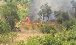 Kahramanmaraş'ta iki ayrı alanda örtü yangını