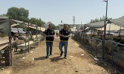 Adana'da polis, kurbanlık satıcılarına hırsızlık ve dolandırıcılık uyarısı yaptı