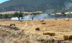 Isparta'da tarım arazisinde çıkan yangın söndürüldü