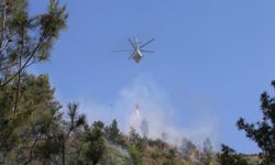 Kahramanmaraş'ın Onikişubat ilçesinde orman yangını çıktı