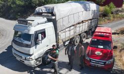 Mersin’de orman kaçakçılığına yönelik denetim yapıldı