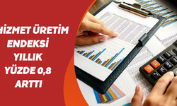 Hizmet üretim endeksi yıllık %0,8 arttı