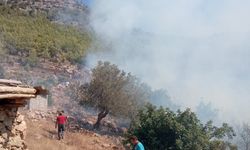 Mersin'de bahçe yangını, ormana sıçramadan söndürüldü