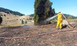 Adana'da ormanlık alana sıçrayan anız yangını kontrol altına alındı