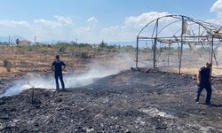 Antalya'da çıkan yangında seralar ve zeytin ağaçları zarar gördü