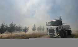 Burdur'da buğday ekili arazide çıkan yangın söndürüldü