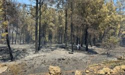 Antalya'da yerleşim yerleri yakınında çıkan yangın kontrol altına alındı