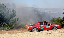 Adana'da çıkan orman yangınına müdahale ediliyor