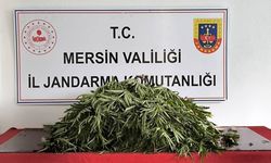 Mersin'de uyuşturucu operasyonunda yakalanan 2 zanlı tutuklandı