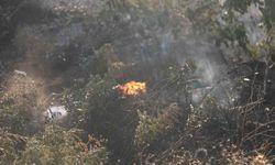 Antakya’da otluk alanda çıkan yangın büyümeden söndürüldü