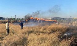 Hassa’da saman balyaları alevlere teslim oldu