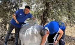 İçme suyu ile bahçe sulayanların abonelikleri iptal ediliyor