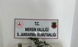 Mersin’de uyuşturucu operasyonu: 3 gözaltı