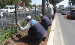 Kahramanmaraş, Azerbaycan Bulvarı’nı Renklendiriyor