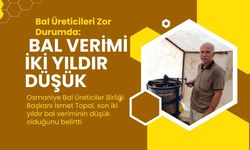 Bal Üreticileri Zor Durumda: Bal Verimi 2 Yıldır Düşük