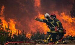 Kahramanmaraş’ta 80 Hektar Alan Yandı