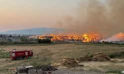 Aydın'daki kağıt fabrikasında çıkan yangına müdahale sürüyor