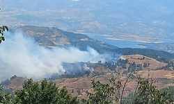 Kahramanmaraş’ta Orman Yangını