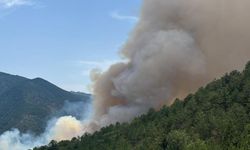 Karabük'te çıkan orman yangınına müdahale ediliyor