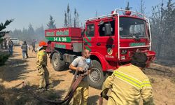 Kırklareli'nde korulukta yangın çıktı