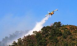 Muğla'da yılbaşından beri çıkan yangınlarda 247 hektar alan zarar gördü