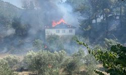 Muğla'da evdeki yangın ormana sıçradı