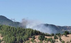 Adana'da orman yangınına müdahale eden helikopter suya düştü