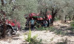 Altınözü'nde zeytin bahçesinde çıkan yangın söndürüldü