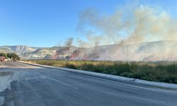 Mersin'de otluk alanda çıkan yangın söndürüldü