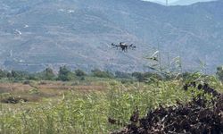 Samandağ'da haşereyle mücadele kapsamında dronla ilaçlama yapıldı