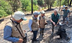 TARSİM'den Aydın ve Muğla'daki yangından etkilenen tarım alanlarını ziyaret