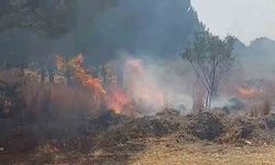 Otluk alanda çıkan yangın ormana ulaşmadan söndürüldü