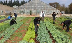 Türkiye’nin en çok tercih edilen Ziraat Fakültesi AÜ’den