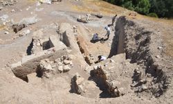 Afşin Yassı Höyük'te 2 bin 800 yıllık nohut, buğday, kayısı çekirdeği, üzüm ve sarımsak taneleri bulundu