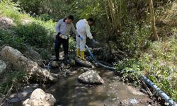 Ilıca’da Detaylı Temizlik ve İlaçlama Çalışması Gerçekleştirildi