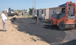 Karataş Belediyesi’nden Sokak Hayvanlarına Özel Proje