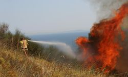 Tekirdağ'da çıkan yangınlarda 20 bin dekara yakın arazi zarar gördü