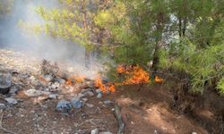 Antalya'nın Kaş ilçesinde çıkan orman yangınına müdahale ediliyor