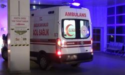 Giresun'da iki minibüs çarpıştı, 1 kişi öldü, 1 kişi yaralandı