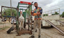 "Nalbulans" İle Sahipsiz Hayvanlara Ücretsiz Tırnak Bakımı