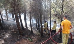 Hatay'da ormanlık alanda çıkan yangın söndürüldü