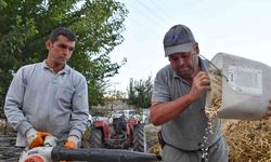 Yayladaki şenlikler Yarbaşçandır Yayla Şenliği ile devam ediyor