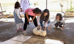 Başkan Gürbüz 4 Ekim Hayvanları Koruma Gününde Özel Çocuklarla Bir Araya Geldi