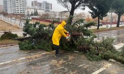 Büyükşehir Ekipleri Sahada