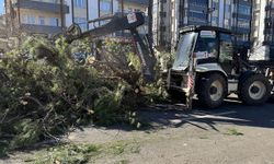 Büyükşehir, Fırtınanın Oluşturduğu Tahribatı Ortadan Kaldırıyor